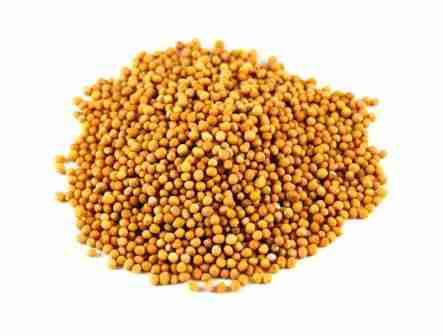 YELLOW MUSTARD SEED - SARSO - SORSE - BEST QUALITY - 50 GM