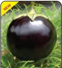 ROUND BRINJAL - BEGUN 500 GM APPROX