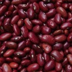 RAJMA SMALL - JAMMU