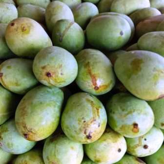 LENGRA LANGRA AAM MANGO - 1 KG