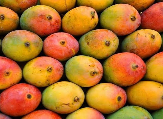 GULAB KHAAS MANGO AAM