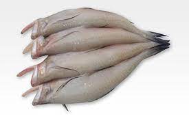 LOTE MACHH - BOMBAY DUCK FISH